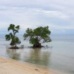 Reisebericht Philippinen – Siquijor