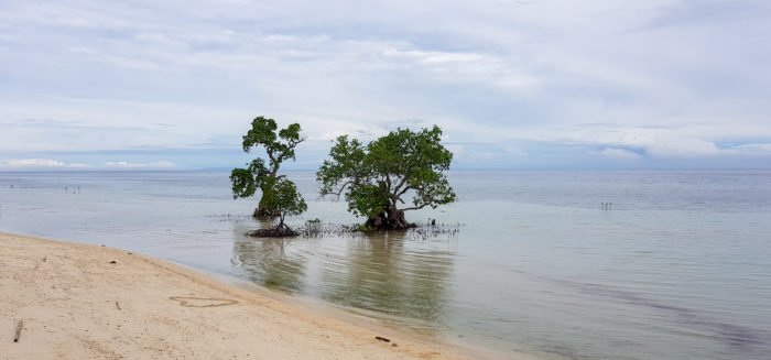 Strand auf Siquijor