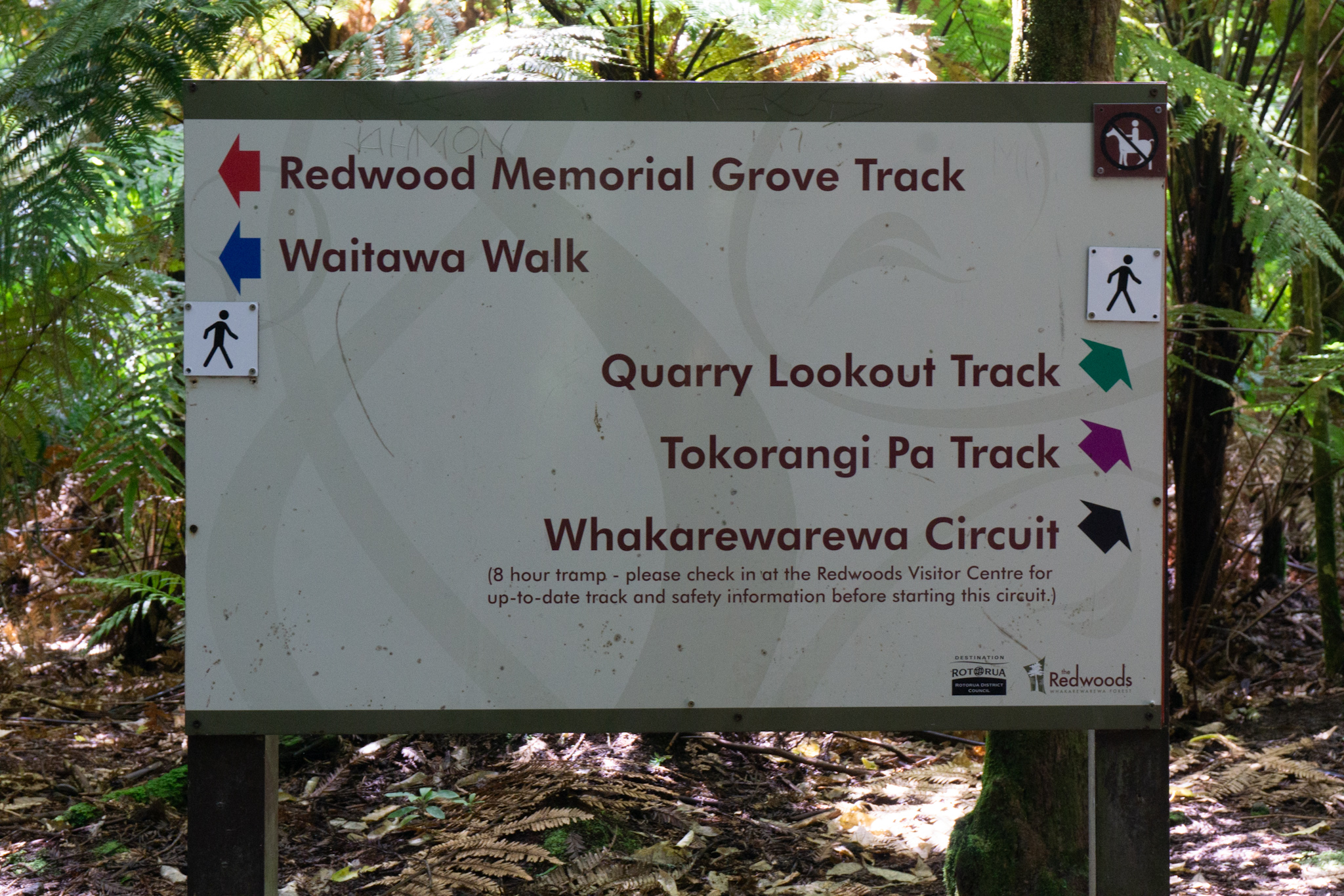 Wanderwege im Redwoods Forest in Rotorua