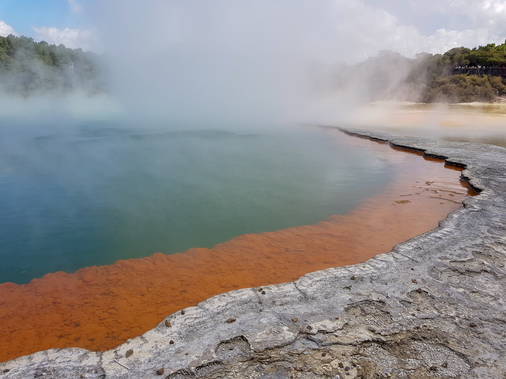 Champagne Pool in Wai-O-Tapu