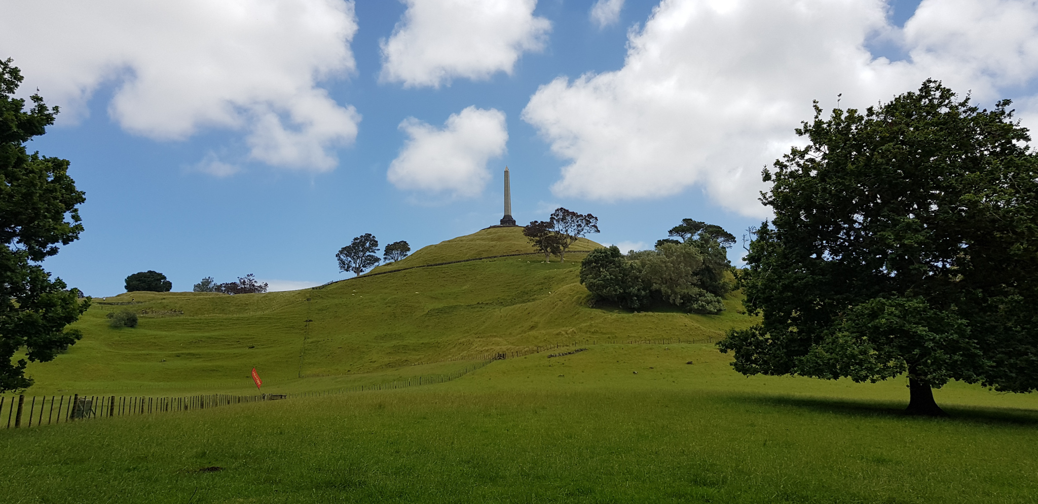 One Hill Tree Auckland