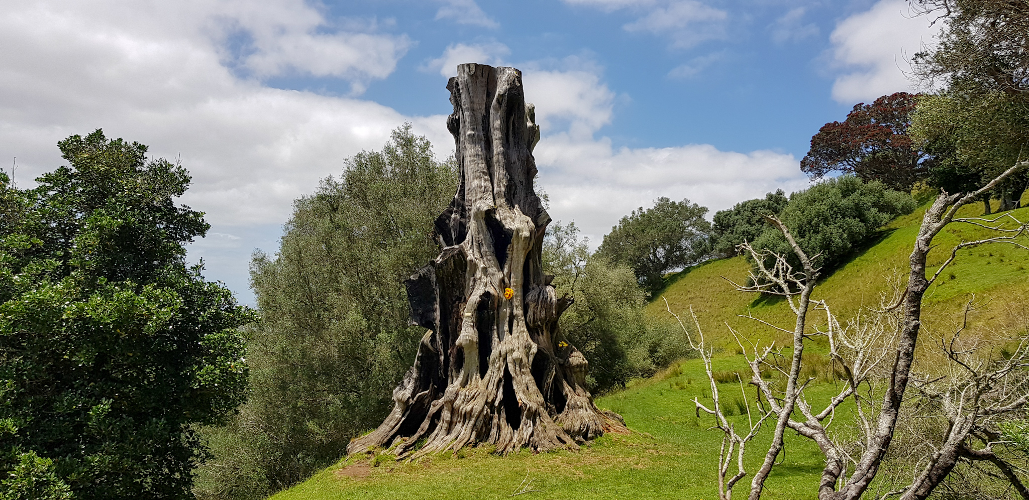 Mount Eden Domain
