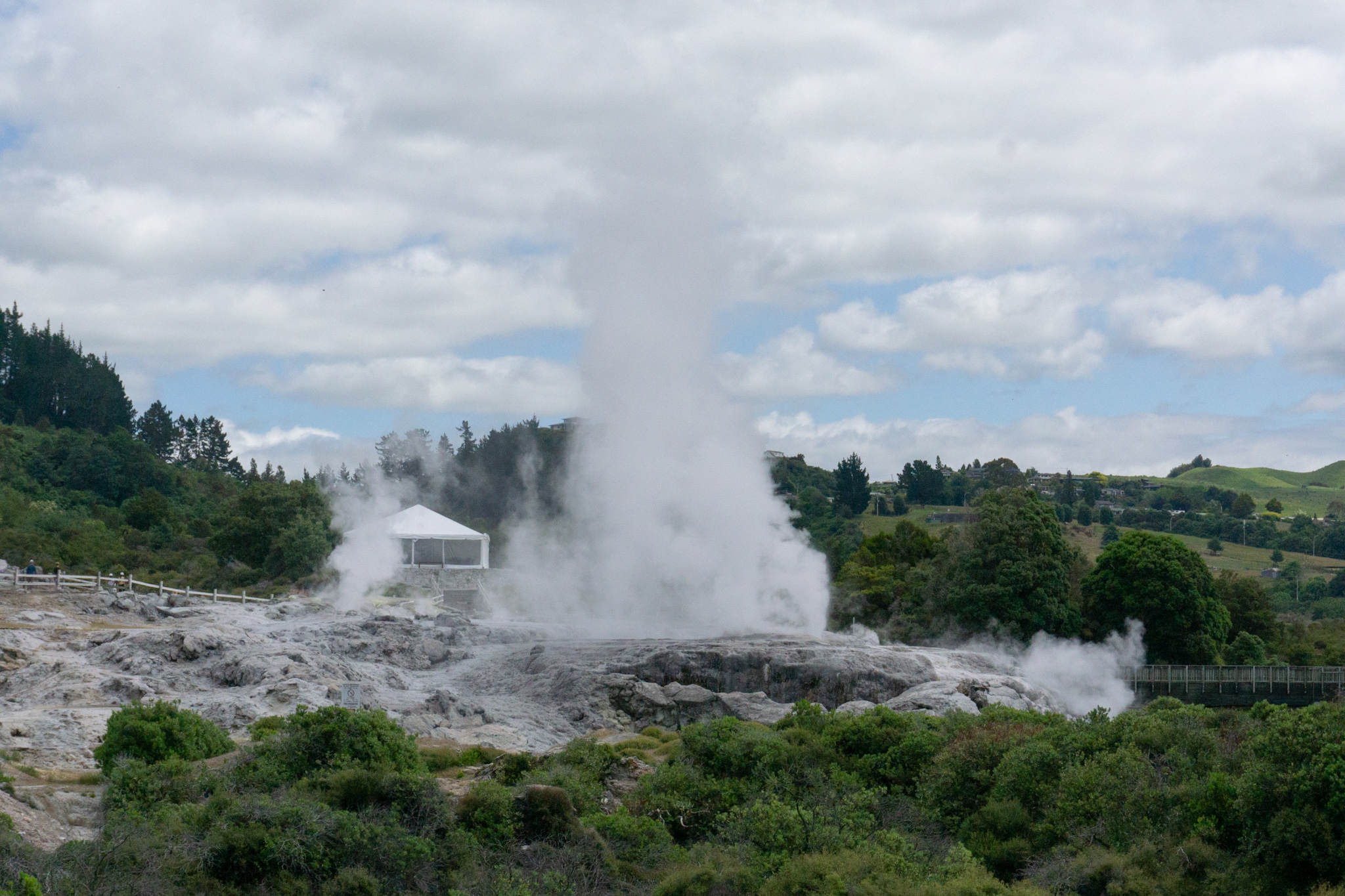 Geysir im Hang Pie im Kochbecken im Whakarewarewa Village