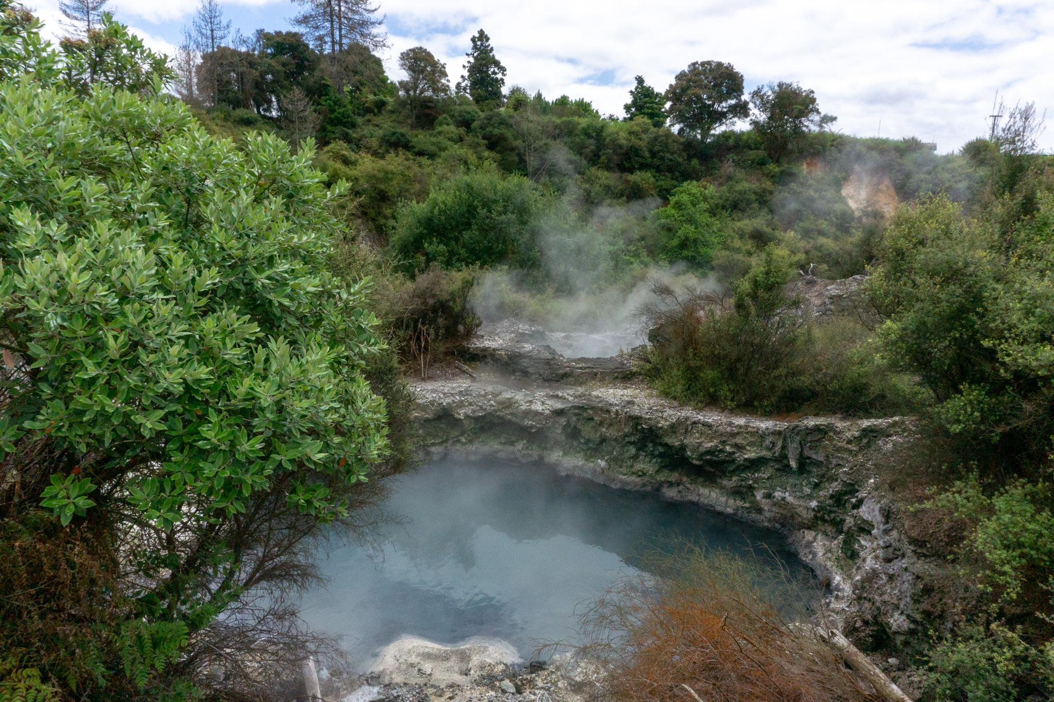 Dampfenden Pools in Rotorua