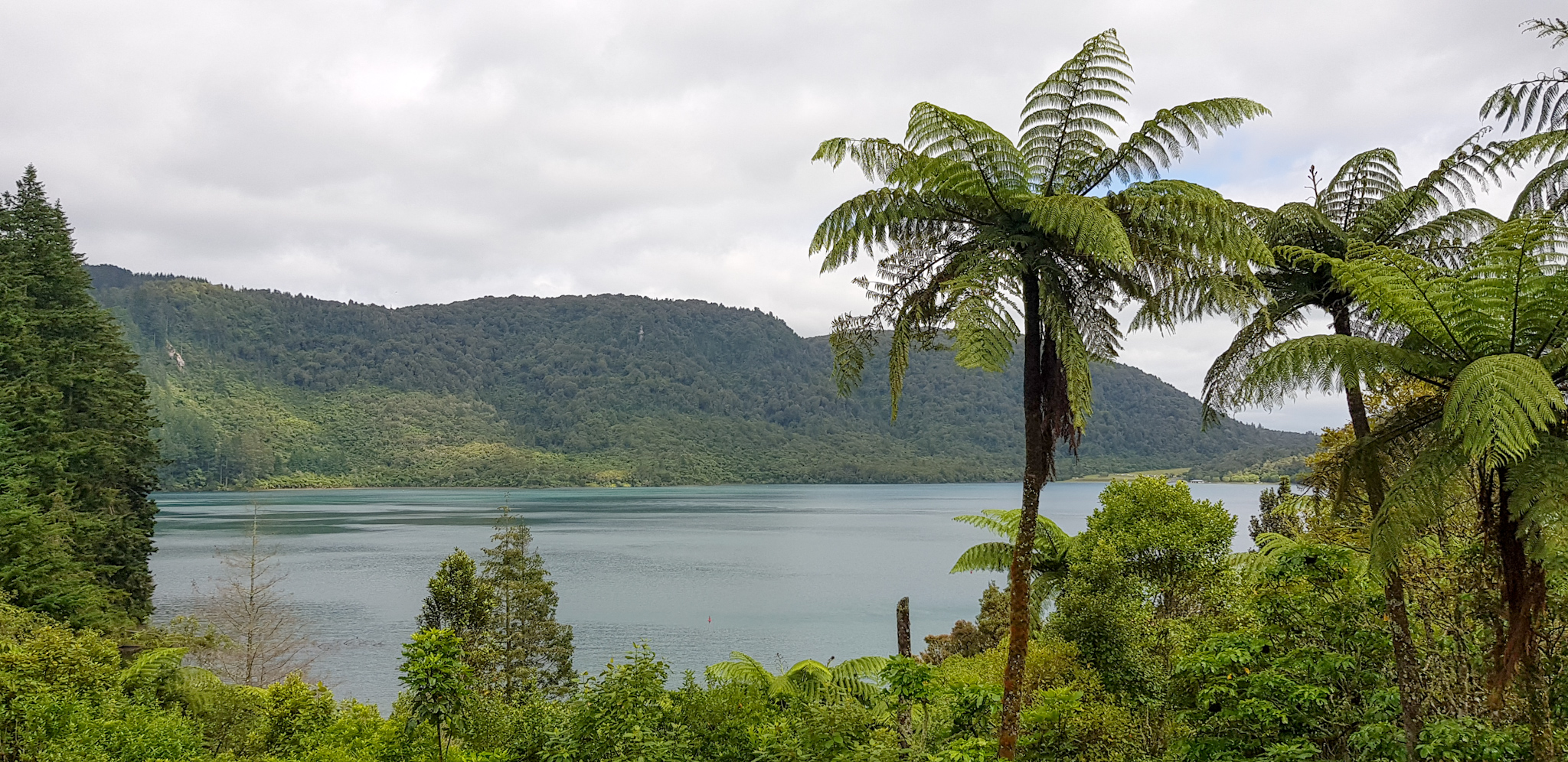 Blue Lake bei Rotorua