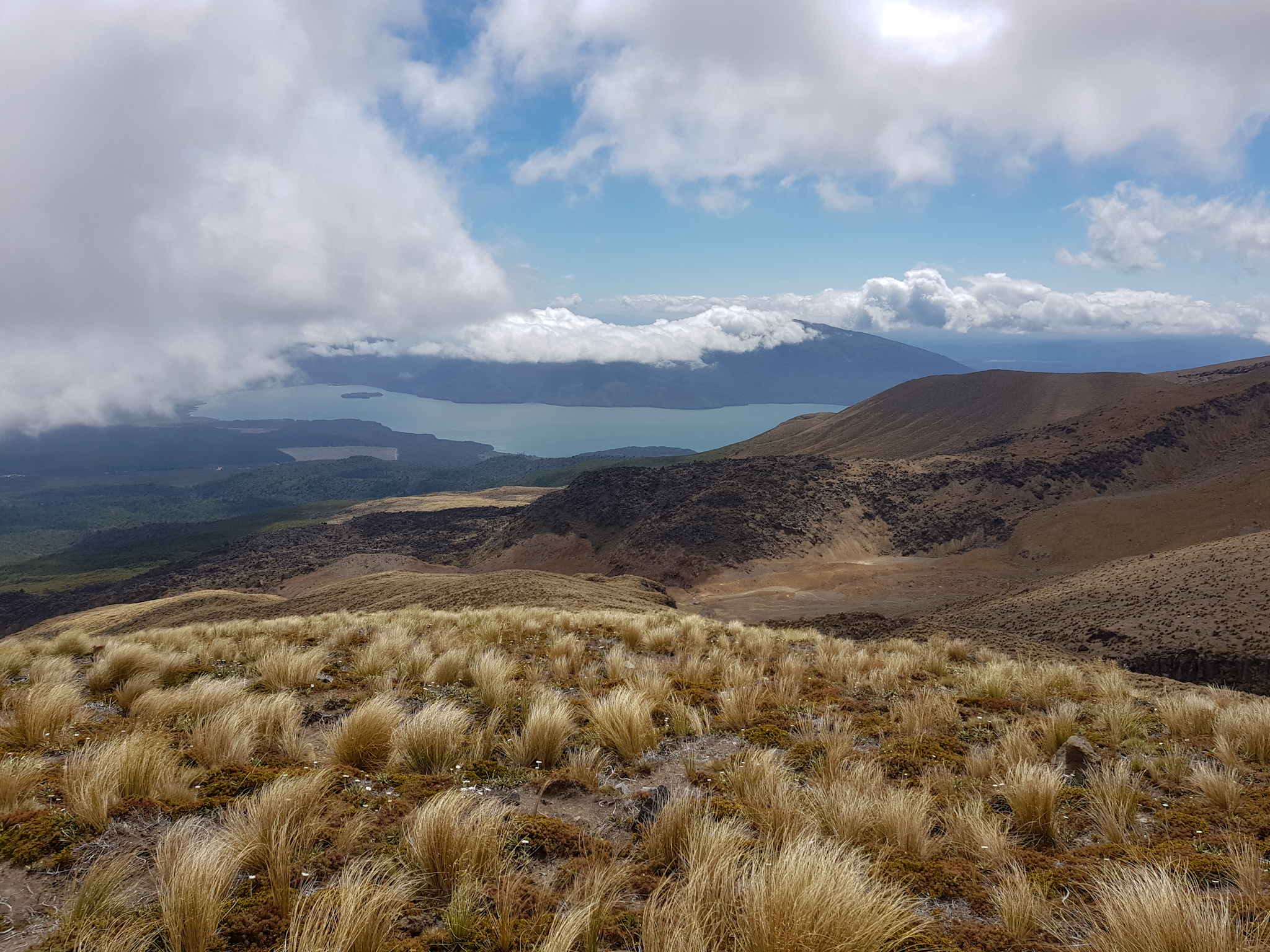 Tangariro Crossing - Abstieg