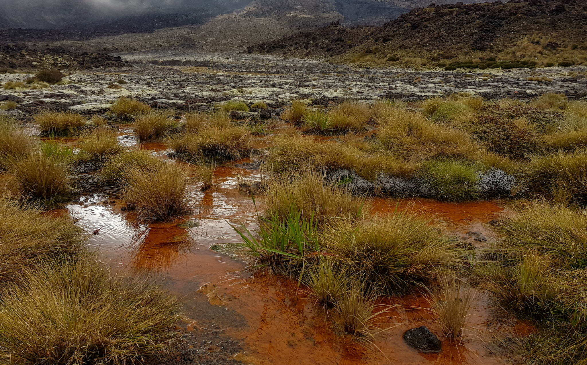 Rotes Gestein auf dem Tongariro Crosssing