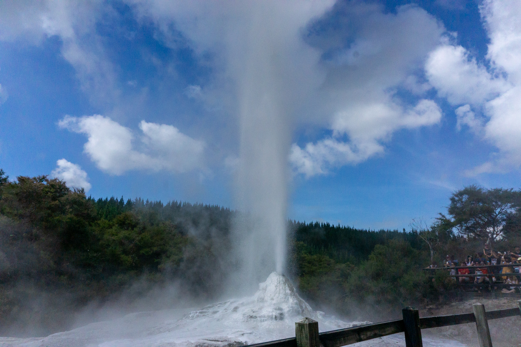 Lady Knox Geysir in Wai-O-Tapu