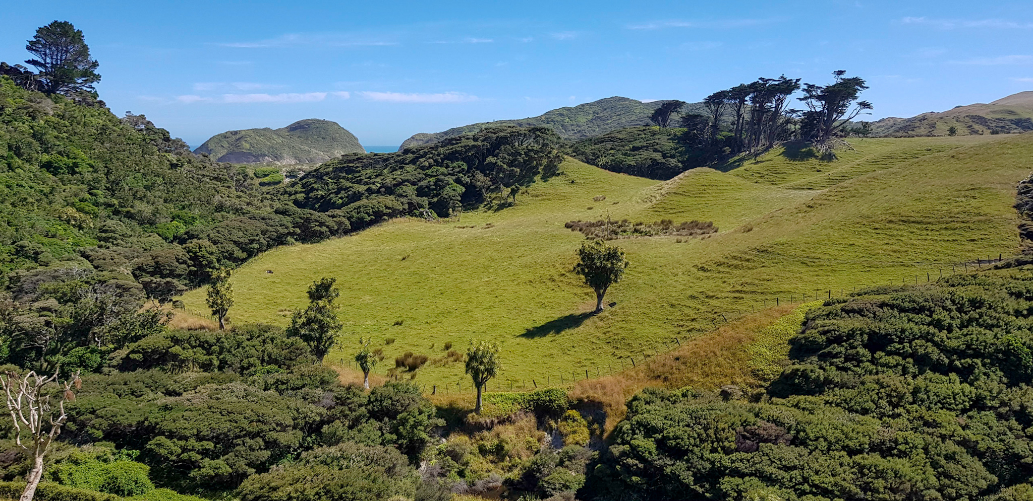Weg zum Wharariki Beach