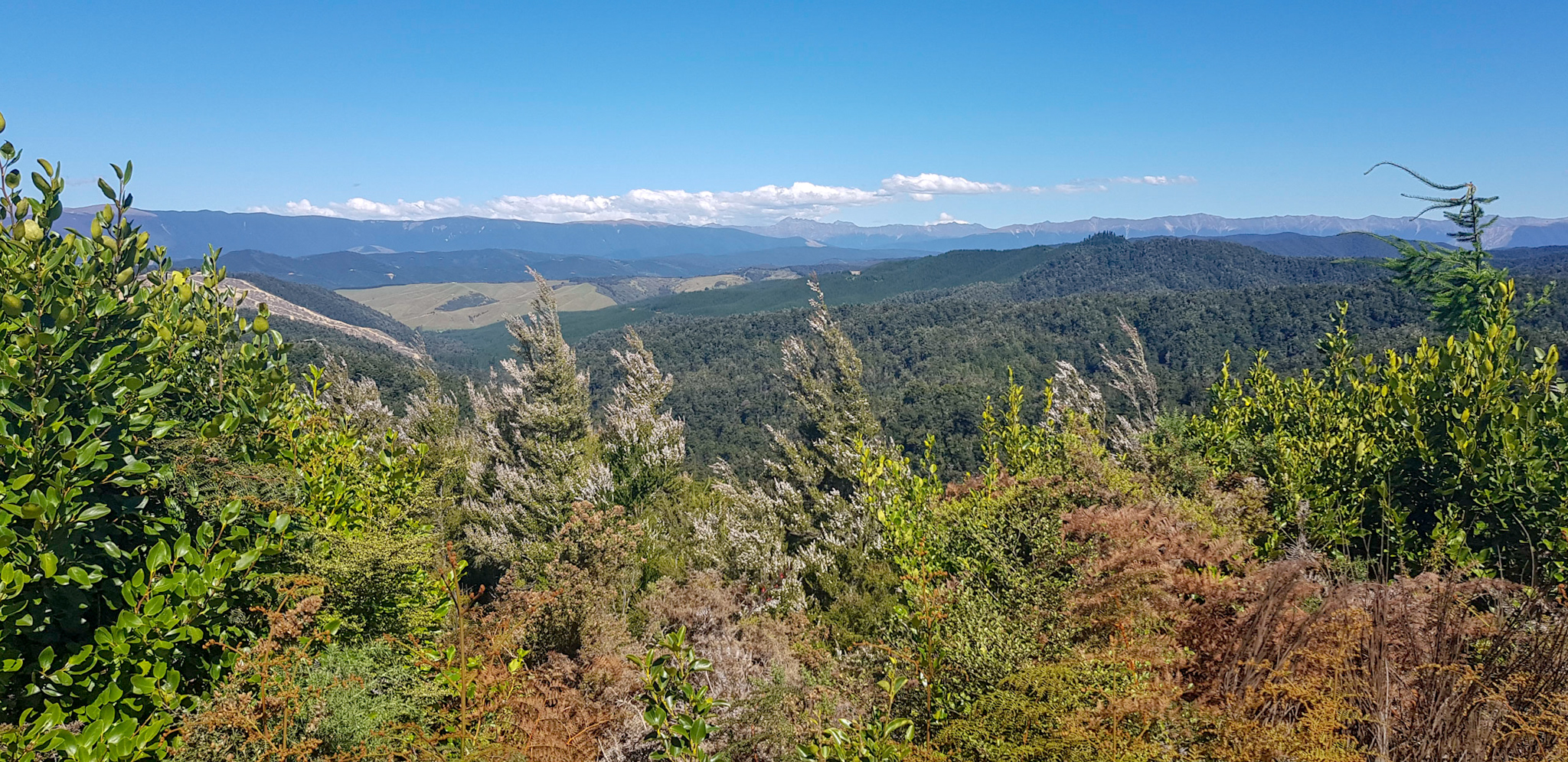 Aussichtpunkt in Neuseeland