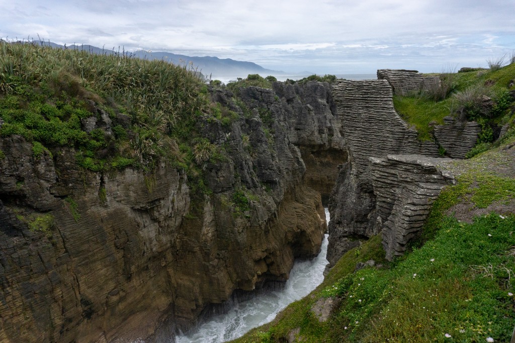Pfannkuchen Felsen in Neuseeland