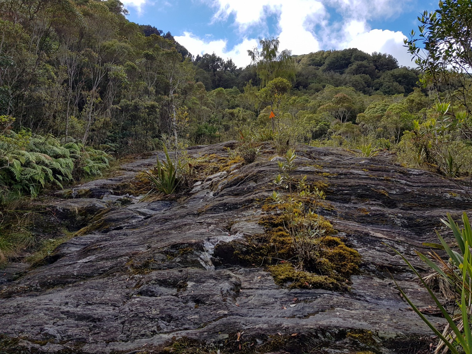 Steile Passage auf dem Roberts Point Track