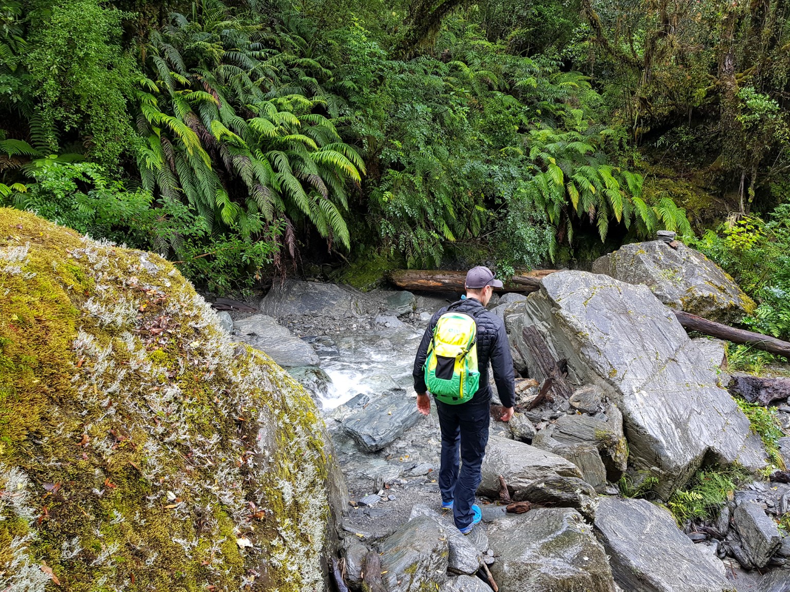 Robert Point Track in Neuseeland