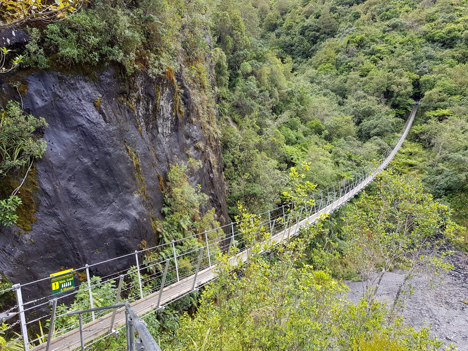Hängebrücke auf dem Roberts Point Track