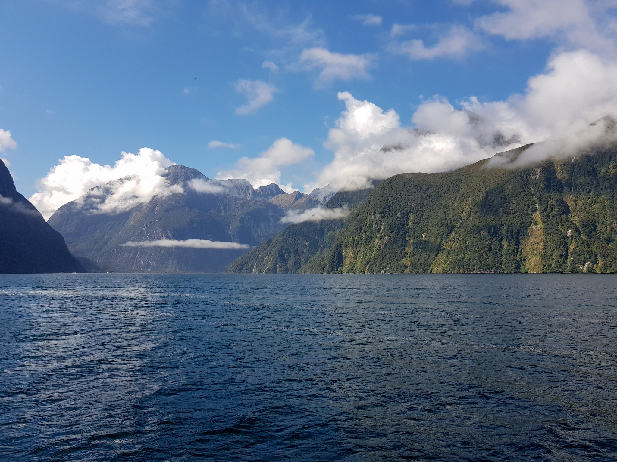 Milford Sound mit dem Schiff