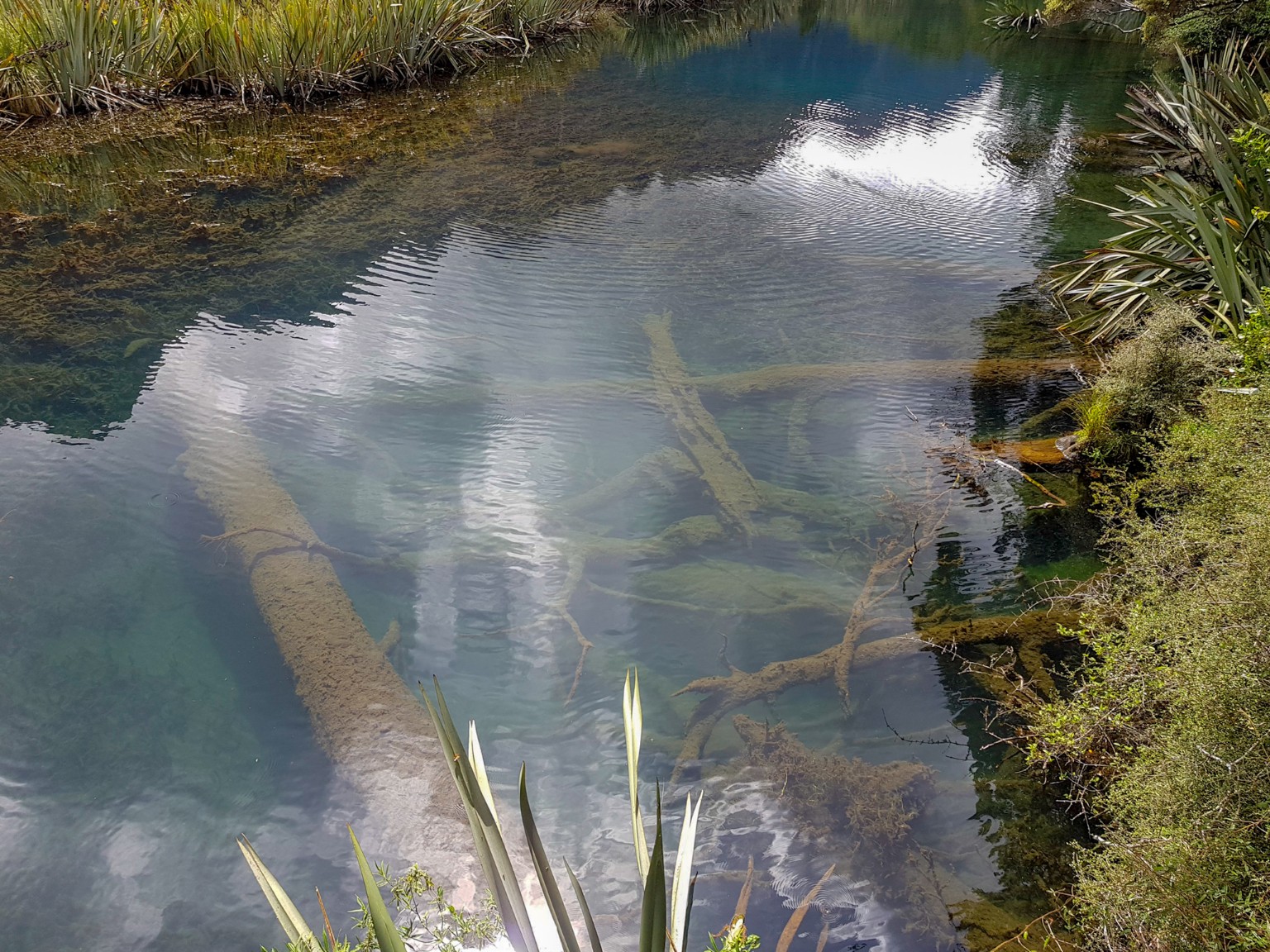 Mirror Lakes bei Te Anau