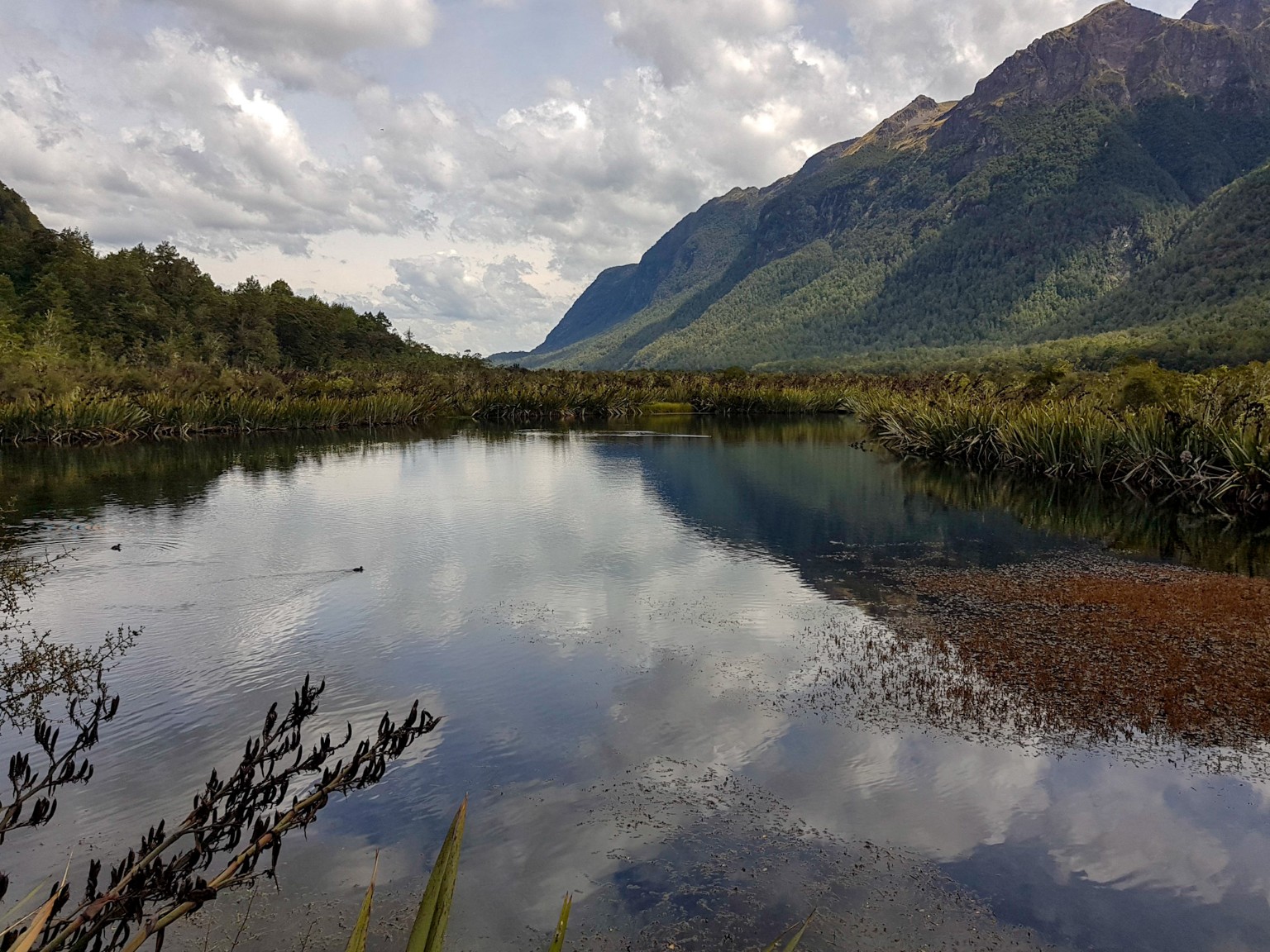 Mirror Lakes in Neuseeland
