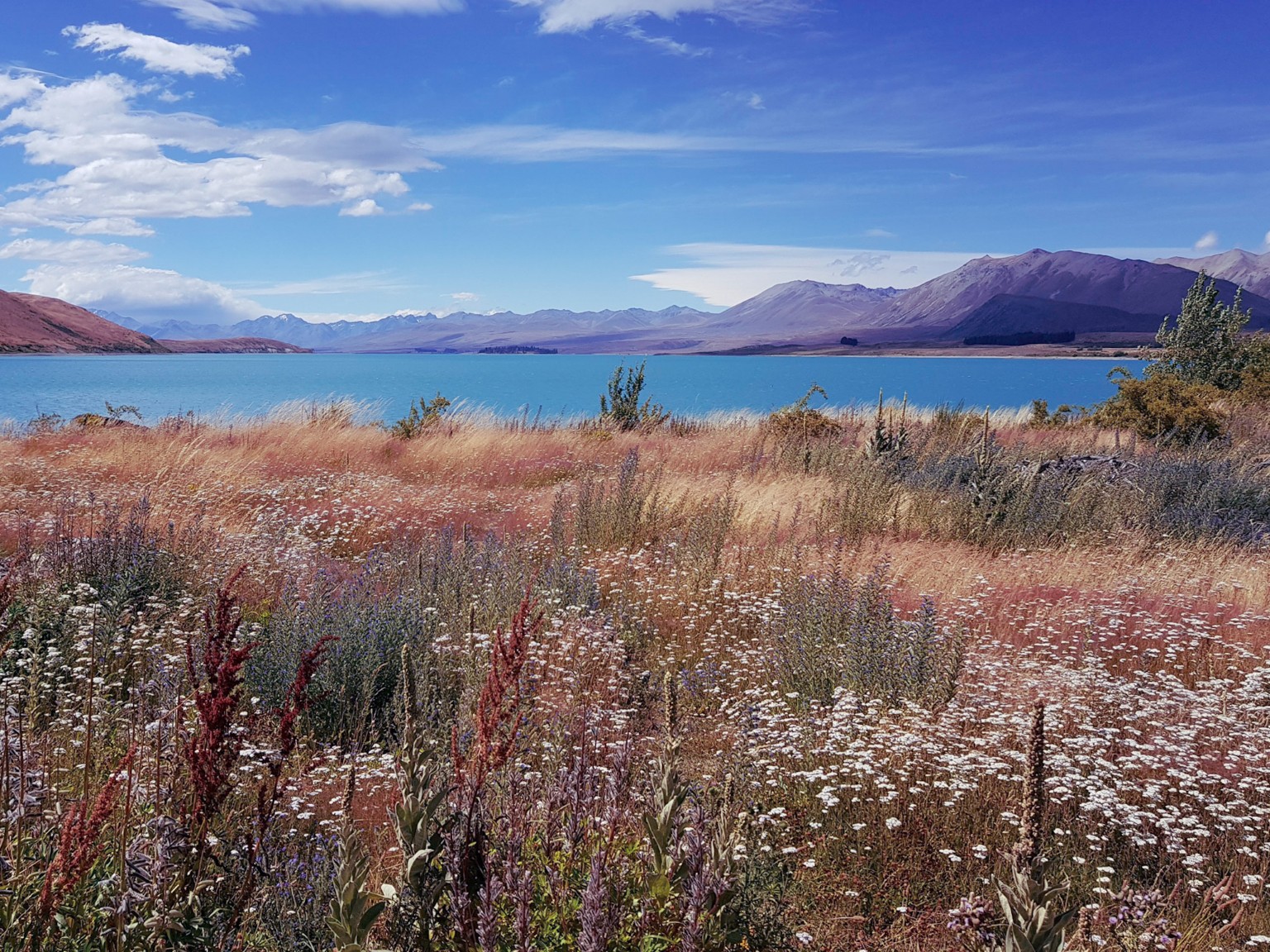 Lake Tekapo in Neuseeland