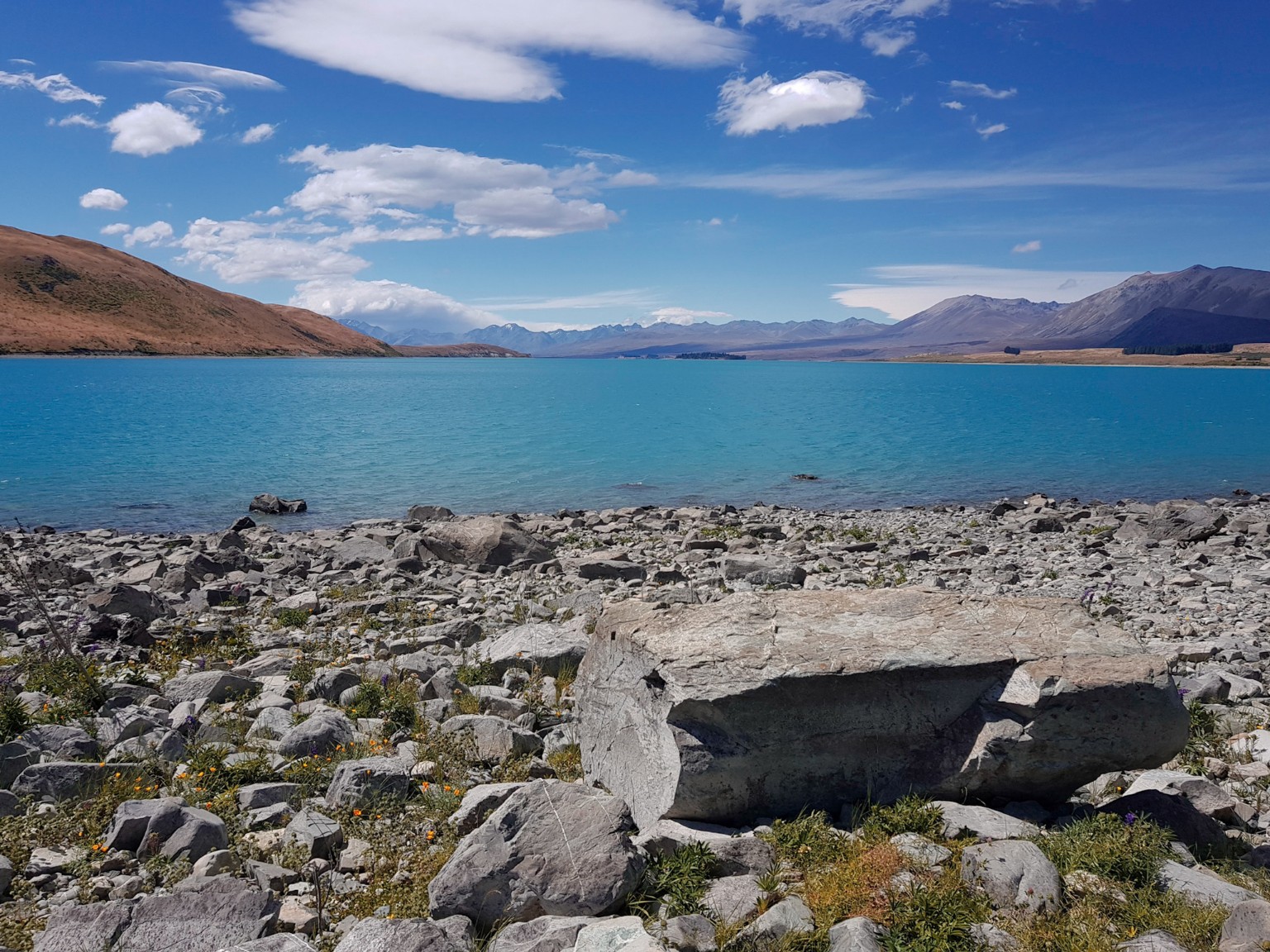 Lake Tekapo am Ufer von Tekapo